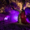 Sábado 4 de Octubre, RioFrío (Granada), Retrato creativo y escenas light painting - Imagen 11